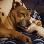 Sarah Declue - @sarah.declue.77 - Instagram
