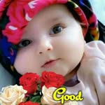 Sirajdeen S - @sarah._deen - Instagram