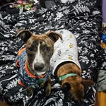 Sarah Demoss - @demoss441 - Instagram