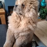 Sarah Dennett - @sarlou68 - Instagram