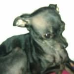 Sarah Derry - @sarah.derry.56 - Instagram