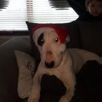 Sarah Derrys - Facebook
