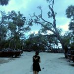 Sarah DeSantis Martz - @sarah_desantiis - Instagram