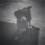 Sarah - @sarah_dexter_ - Instagram