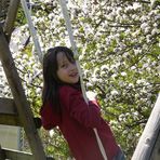 Sarah Dippold R - Facebook