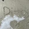 Sarah Ditto652 - @sarahditto2 - TikTok