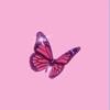 Sarah divers 🦋 - @sarahdivers2 - TikTok