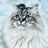 sarahdix78 - @sarahdix78 - TikTok