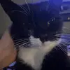 sarahdixkie_ - @sarahdixkie_ - TikTok