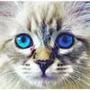 user6191507083615 - @sarahdix007 - TikTok