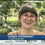 Dr. Sarah D'Onofrio - @sarahdnarf - Instagram