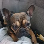 Sarah Doody - Facebook