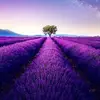 Sarah_dope020 - @sarah_dope020 - TikTok
