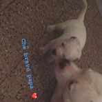 Sarah Dope - Facebook