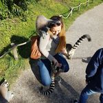 Sarah Maria Vom Dorff - @sarahvomdorff - Instagram
