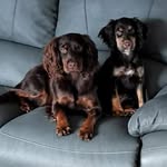 Sarah Dorman - @sarahdormanfennell - Instagram