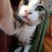 Sarah Dorman - Facebook
