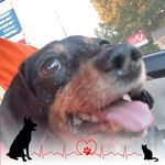 Sarah Dotson - @sarah.dotson.169 - Instagram