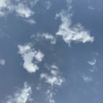 Sarah Dotson - @puremindest99 - Instagram