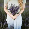Sarah Dotson - @sarahadotson - TikTok
