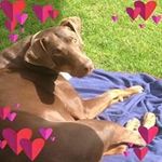 Sarah Driver - @sarahdriver111 - Instagram