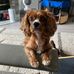 Sarah Droste - Facebook