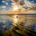 Sarah Jordan Ducker - @sarahlducker - Instagram