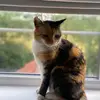 sarahducker505 - @sarahducker505 - TikTok