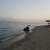sarahdungey875 - @sarahdungey875 - TikTok