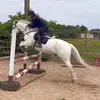 Sarah Eakin - @saraheakinn - TikTok