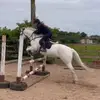 Sarah Eakin - @sarah.eakin1 - TikTok