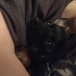 Sarah Eberle - @loveisarah2 - Instagram