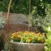 Sarah Eberle Landscape and Garden Design - Facebook