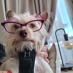 Sarah Eccles - @winniebean04 - Instagram