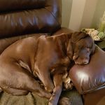 Sarah Eccles - @sarah.eccles.14 - Instagram