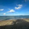 sarah 01 - @sarahstehmann123 - TikTok