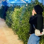 Sara H Elbaumiy - @sara_h_elbaumiy - Instagram