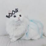 Sarah Eldeeb - @sarah_hussein_eldeeb - Instagram