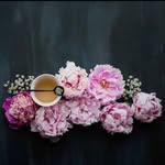 Sarah Emad El-Deeb - @sarah_el_deeb_ - Instagram