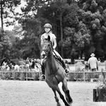 Sarah Elgin - @sarah.elgin.equestrian - Instagram