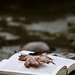 Sarah Ell - Facebook