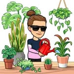 Sarah Ellery - @sarahellery - Instagram