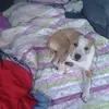 Sarah-Lee Hope Ellery - @sarahlee.e - TikTok