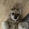Sisters - @sarahelzer1 - TikTok