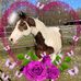 Sarah Embree - Facebook