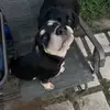 Sarah_Smile - @sarah_hembree - TikTok