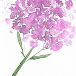 SarahEmbreeDesigns - @sarahembreedesigns - Instagram