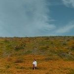 vancouver photographer |  sarah england - @sarahenglandphotography - Instagram