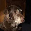 sarahstenquist - @sarahstenquist - TikTok