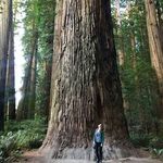 Sarah Enright - @sarah.enright.37 - Instagram